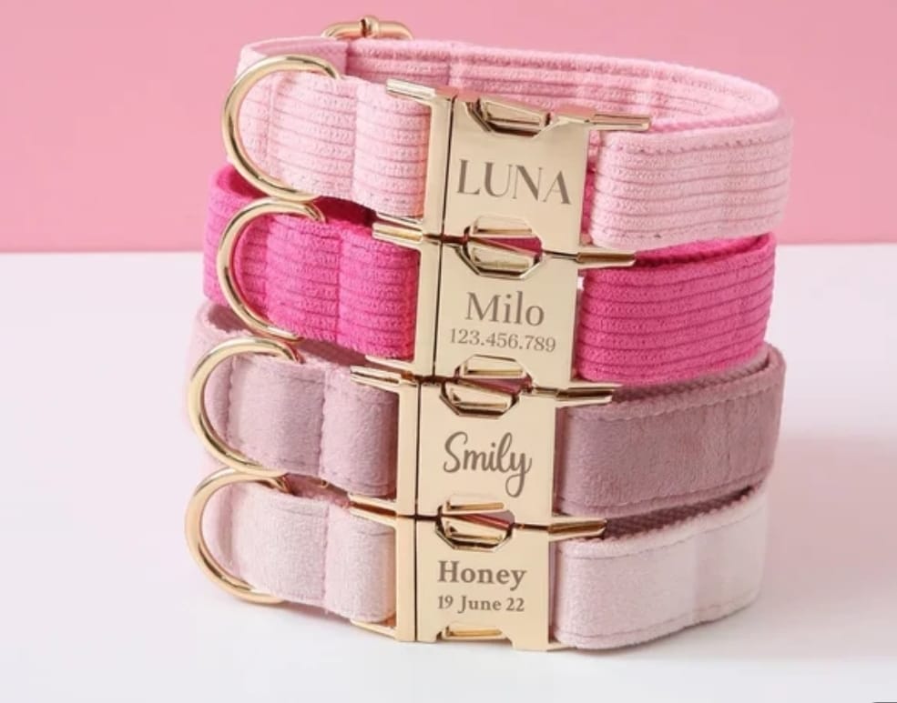 Velvet Custom Dog Collars - Buy-In