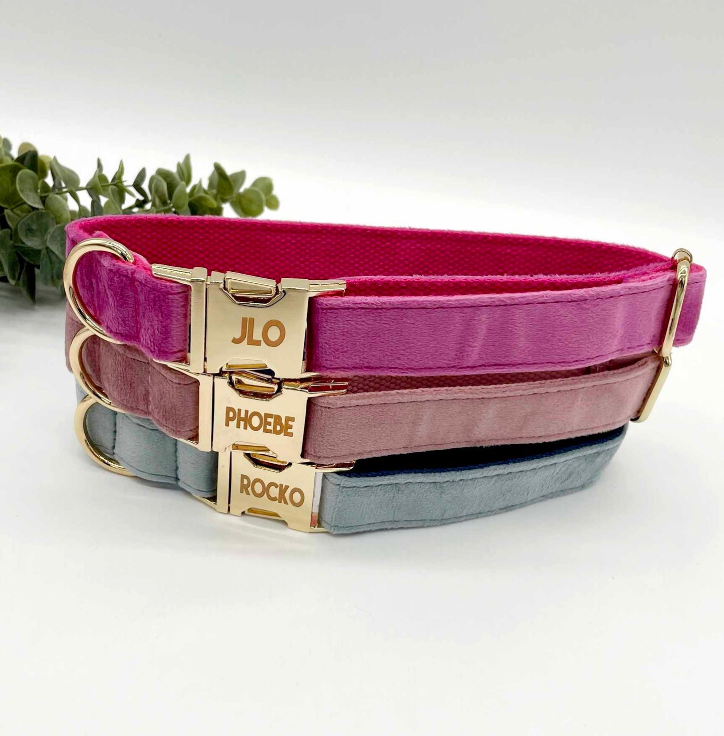 Velvet Custom Dog Collars - Buy-In