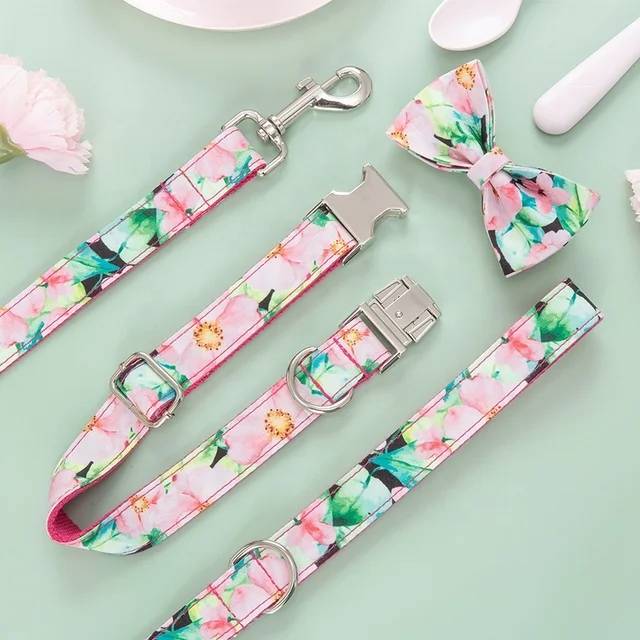 Pattern Custom Collar & Accessories - Buy-In