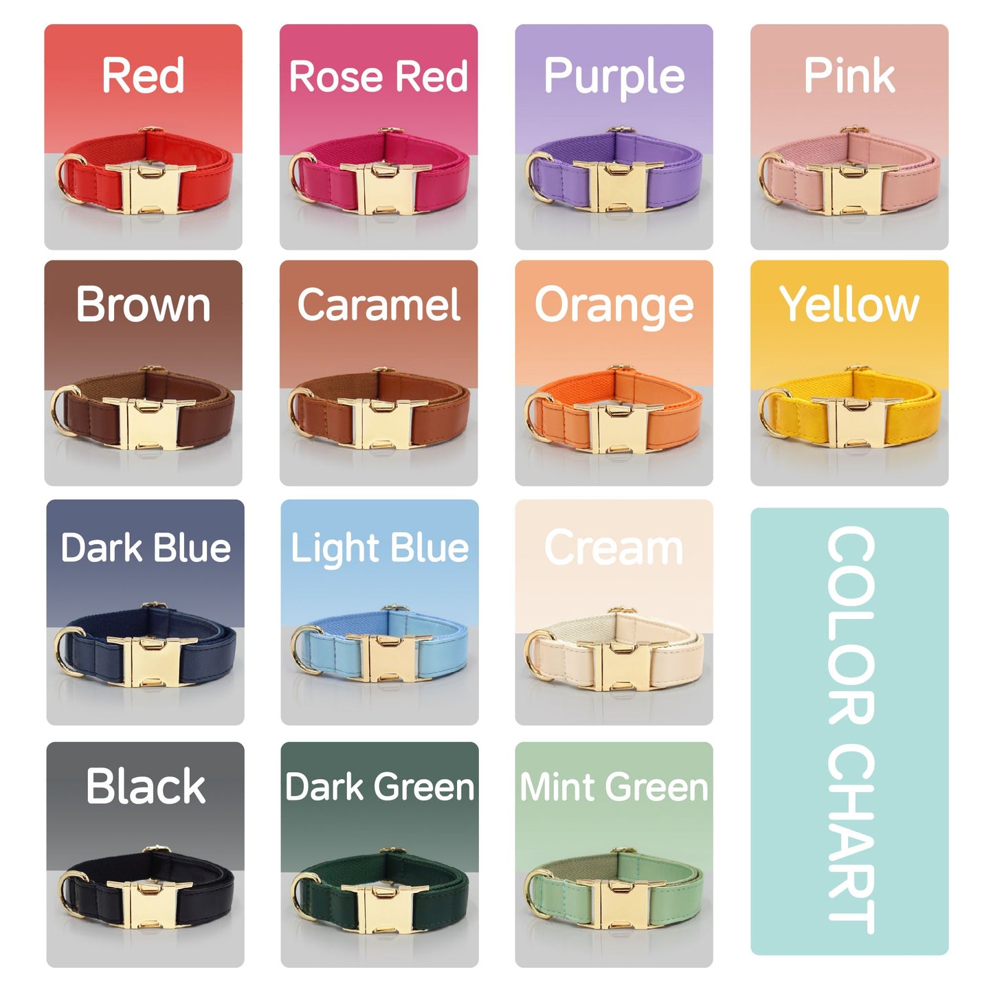 Vegan Leather Custom Dog Collars - Buy-In