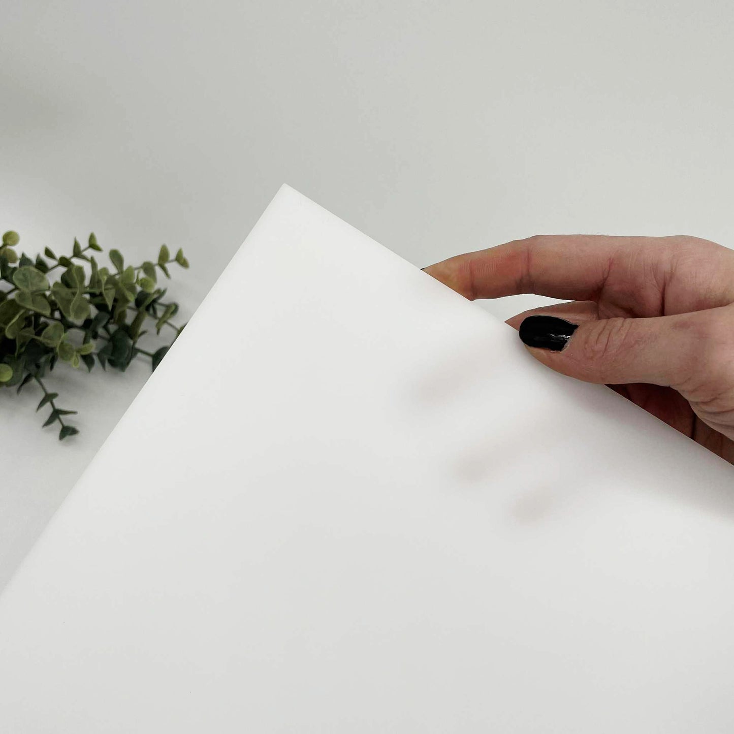 White Translucent - Dualuxe Cast Acrylic Sheets 1218 P425c