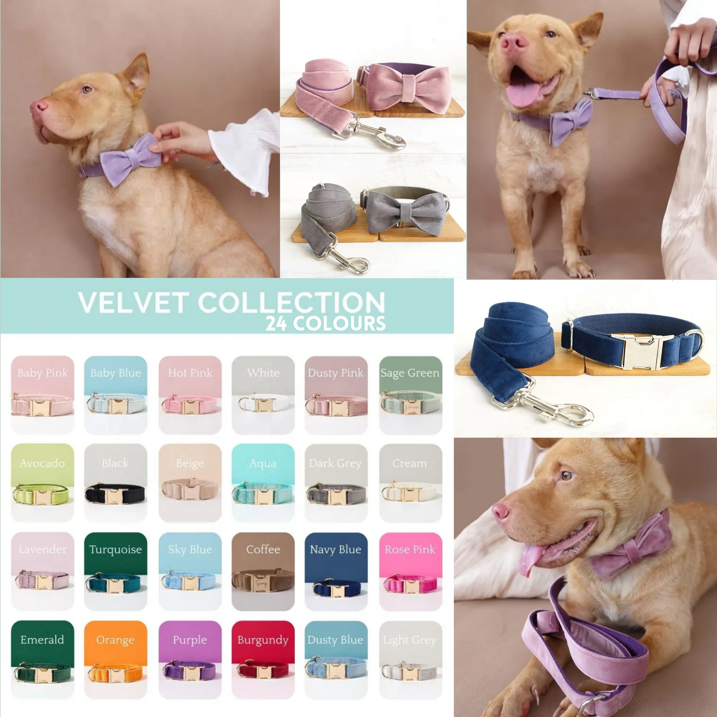 Velvet Custom Dog Collars - Buy-In
