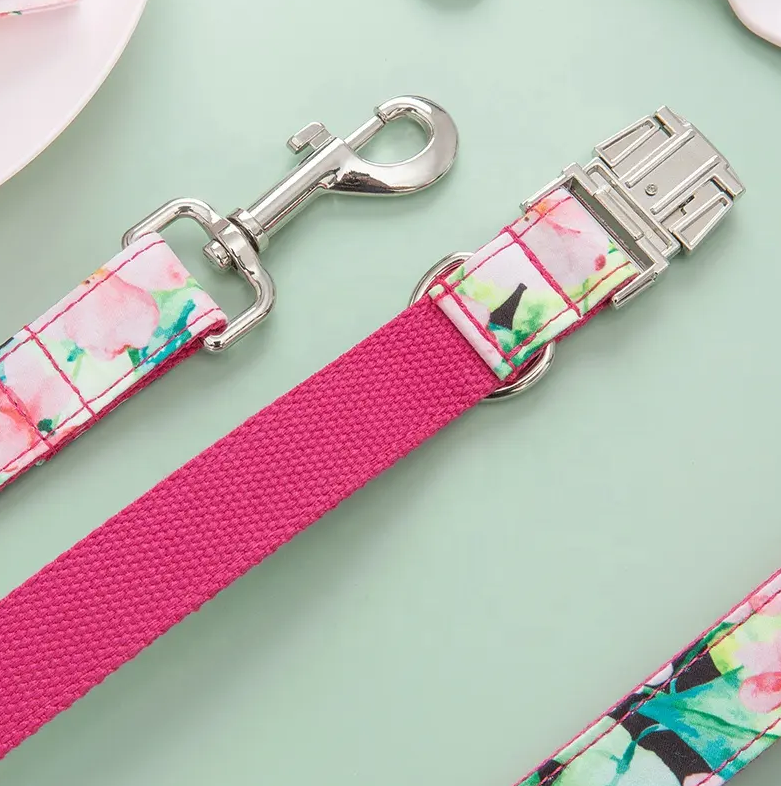 Pattern Custom Collar & Accessories - Buy-In