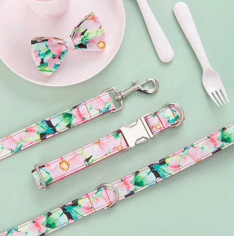 Pattern Custom Collar & Accessories - Buy-In