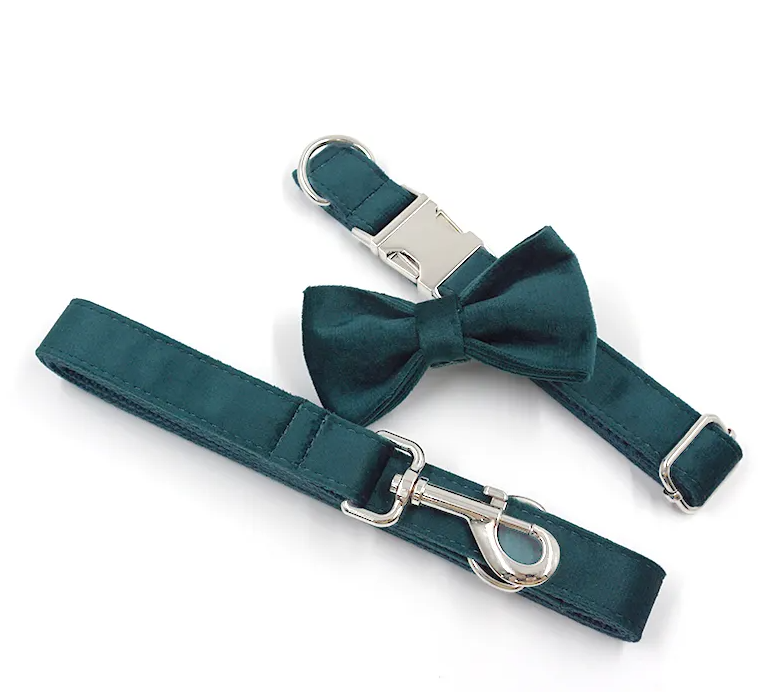 Velvet Custom Dog Collars - Buy-In