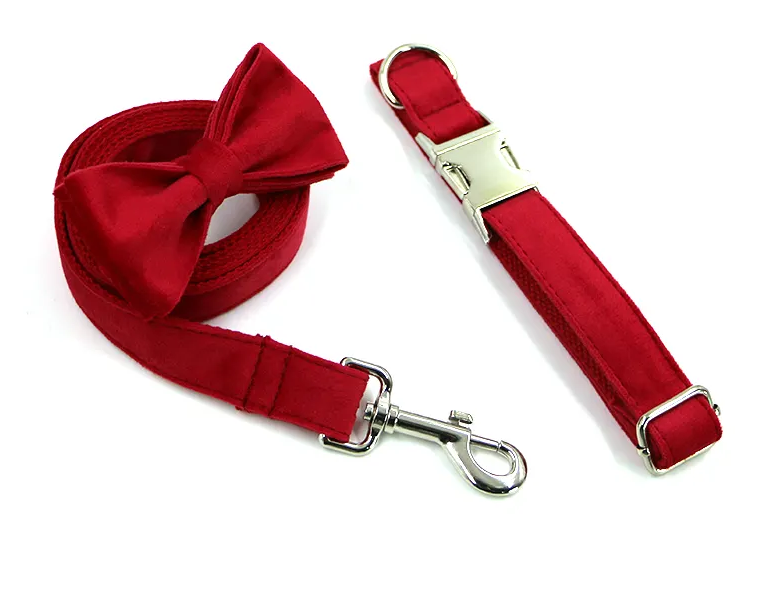 Velvet Custom Dog Collars - Buy-In