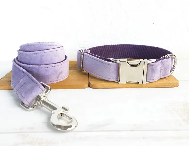 Velvet Custom Dog Collars - Buy-In