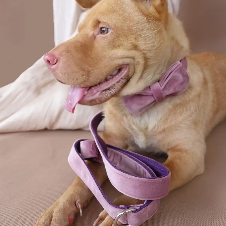 Velvet Custom Dog Collars - Buy-In