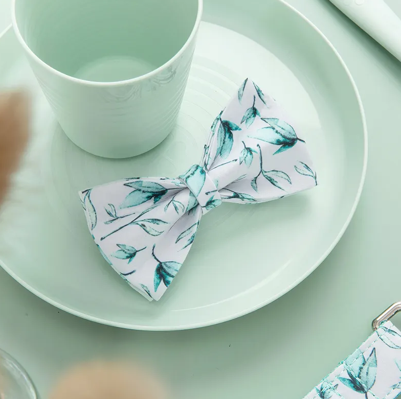 Pattern Custom Collar & Accessories - Buy-In