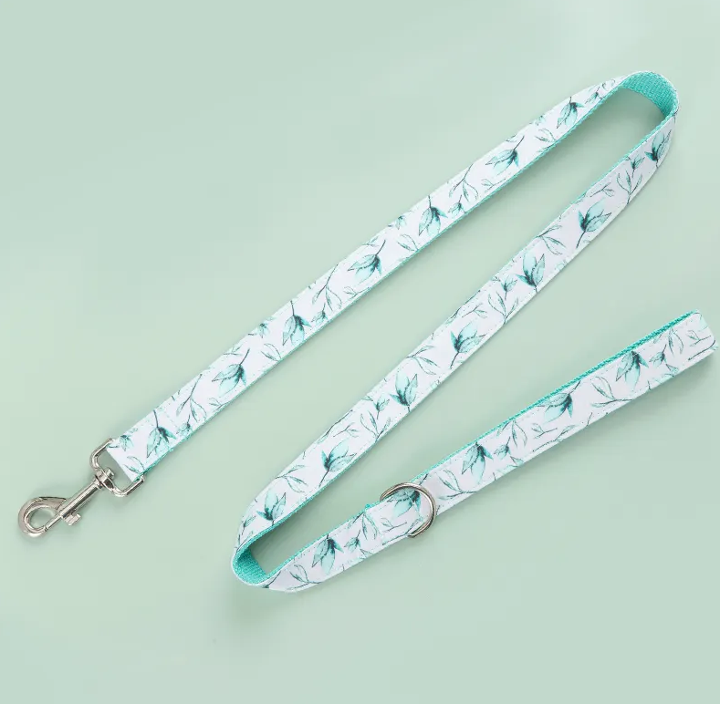 Pattern Custom Collar & Accessories - Buy-In