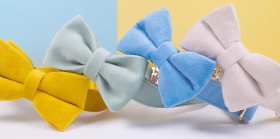 Velvet Custom Dog Collars - Buy-In