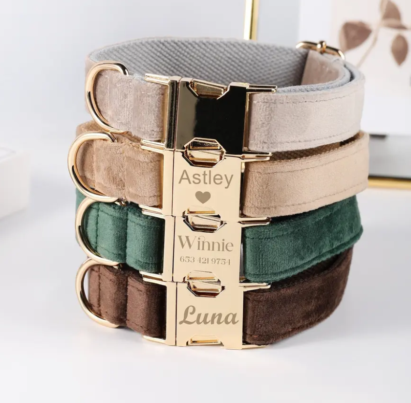 Velvet Custom Dog Collars - Buy-In
