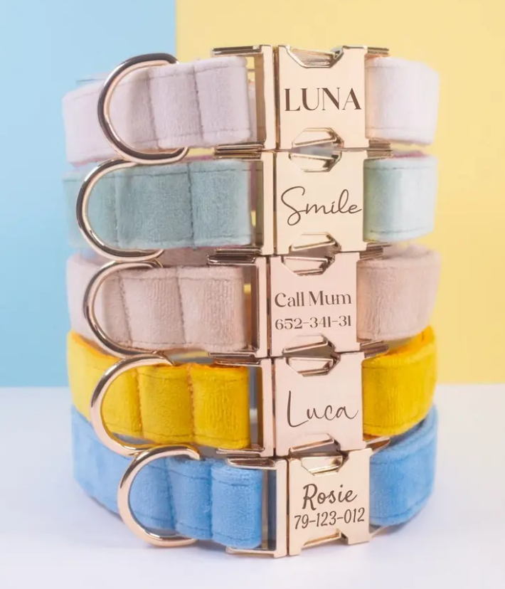 Velvet Custom Dog Collars - Buy-In