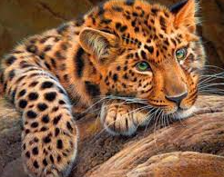 Full Size Diamond Painting