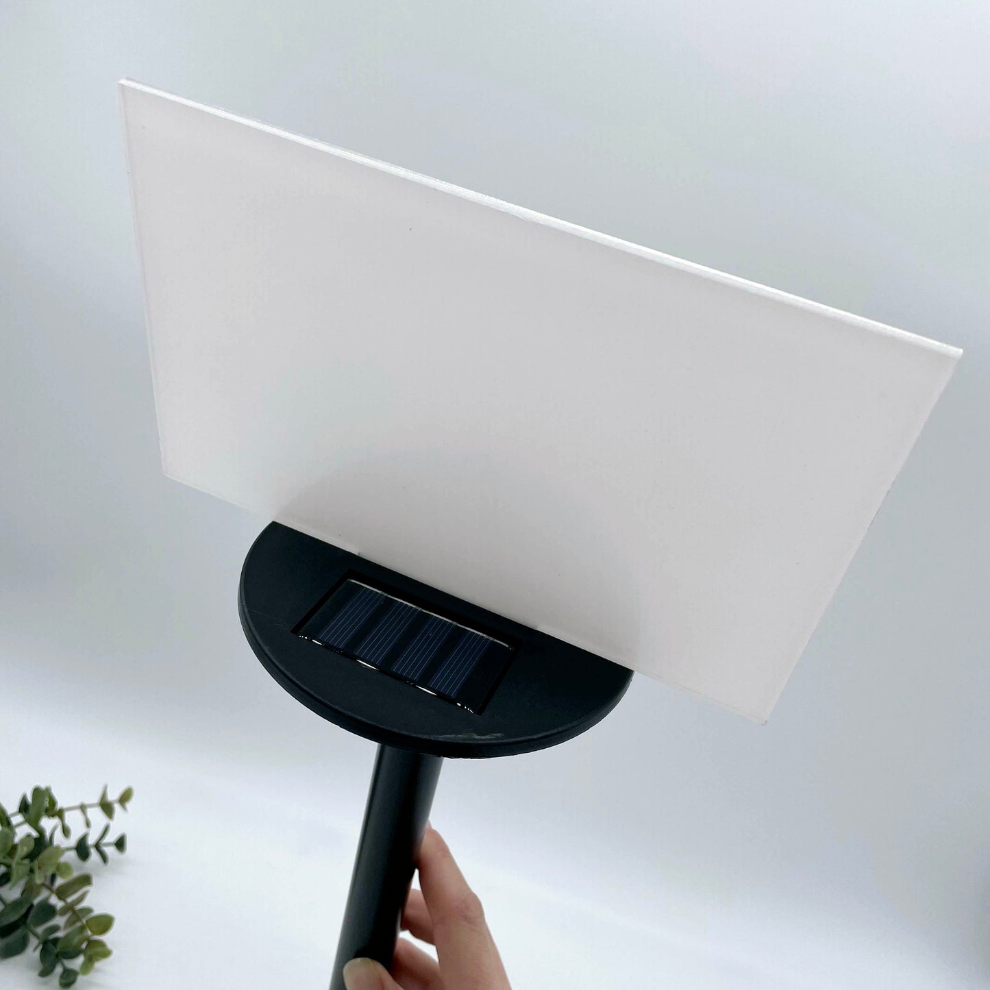 Solar Light Garden Stakes