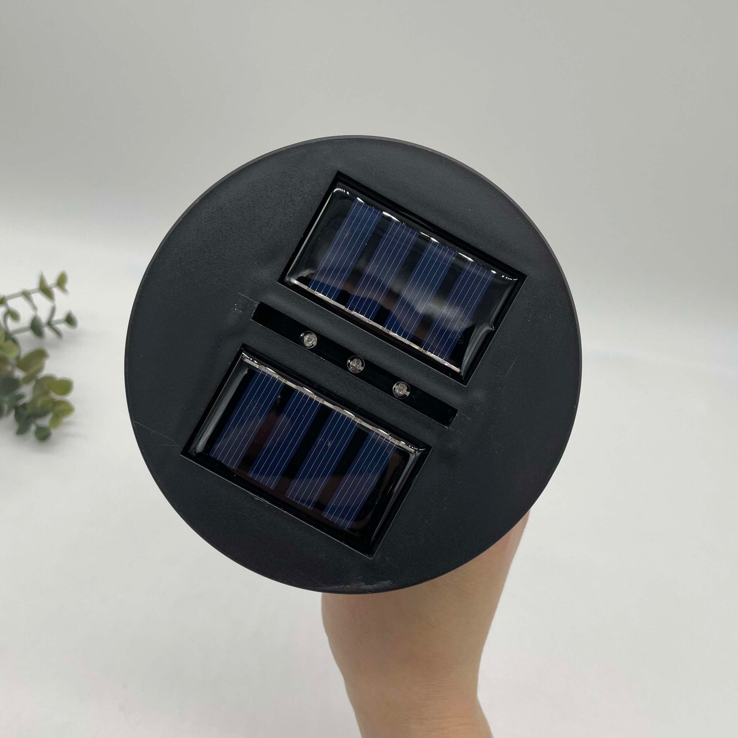 Solar Light Garden Stakes