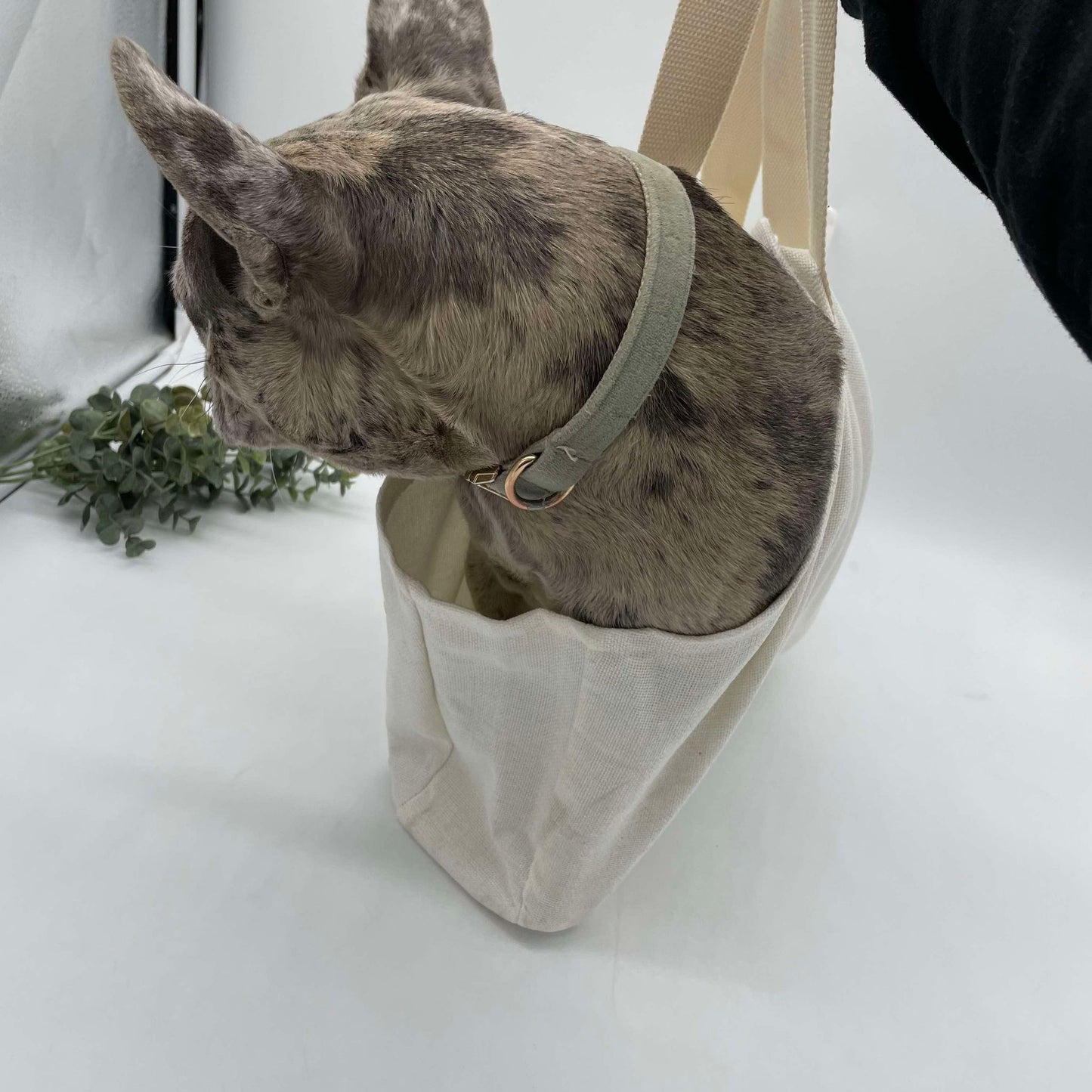 Linen Pet Carrier for Sublimation