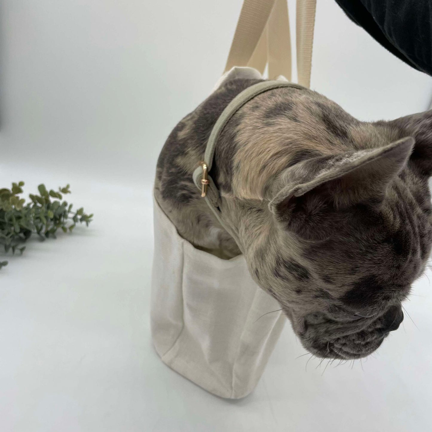 Linen Pet Carrier for Sublimation