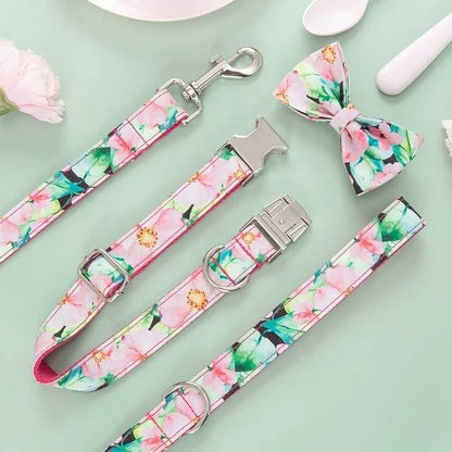 Pattern Print Personalized Dog Collar & Accessories - PRE-ORDER