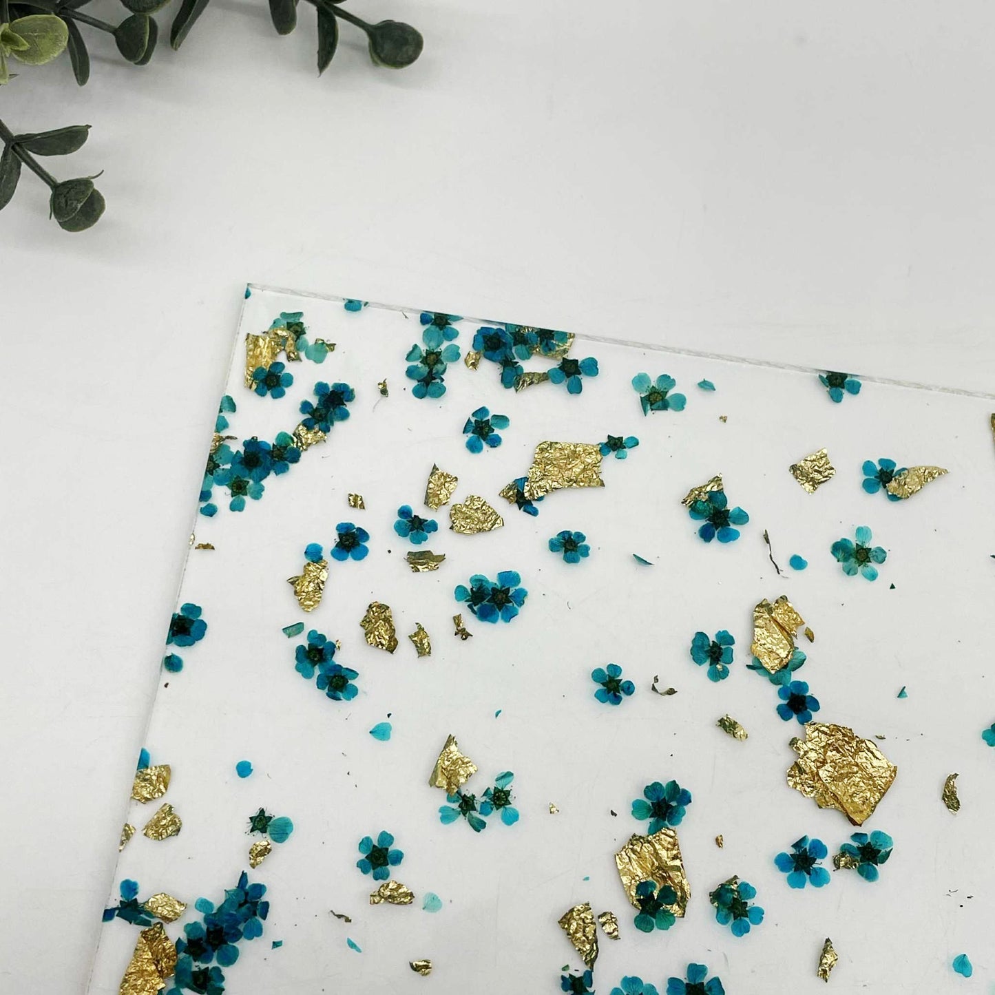 Blue & Gold - Real Flower Cast Acrylic Sheets 1067