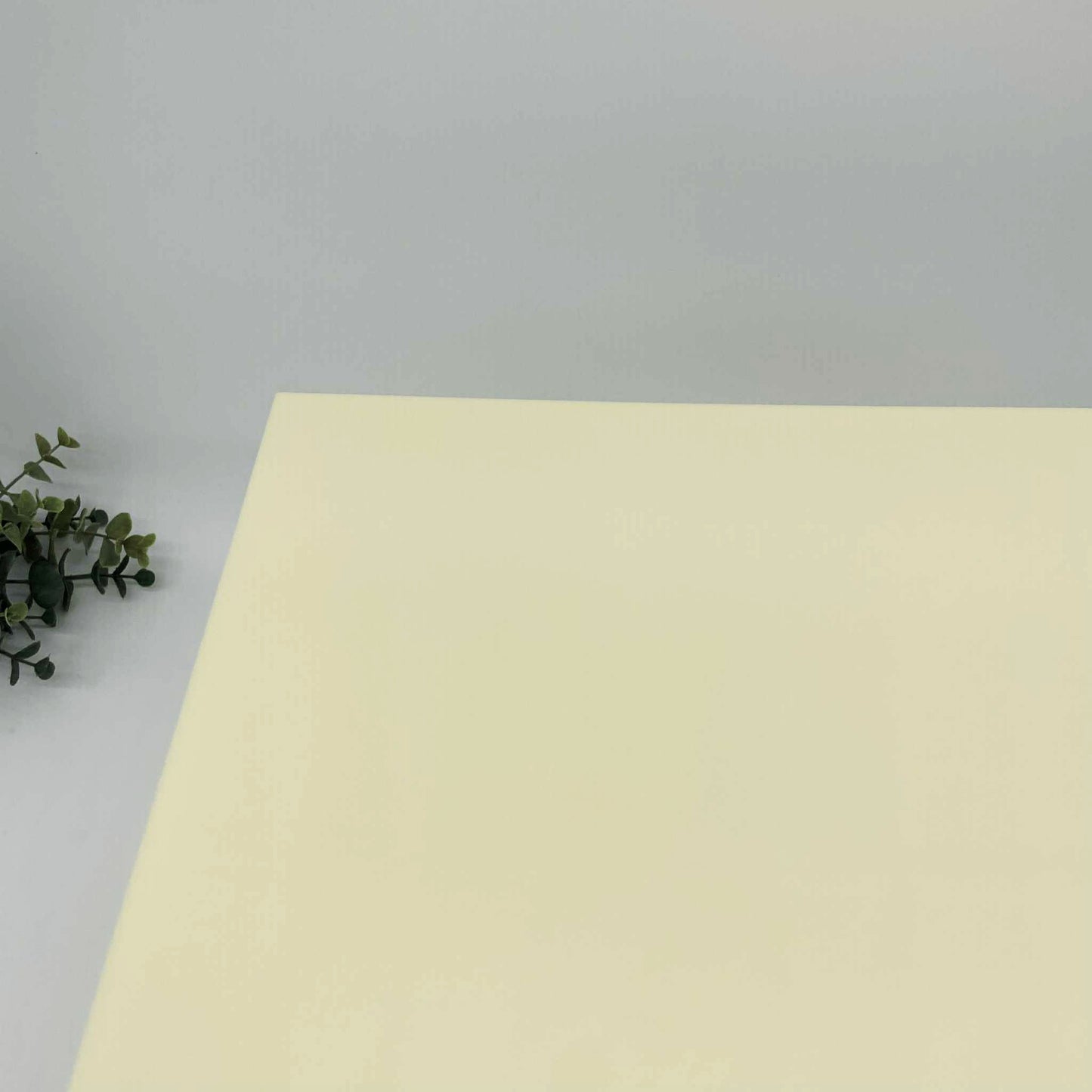 Ivory - Essentials Cast Acrylic Sheets 1135