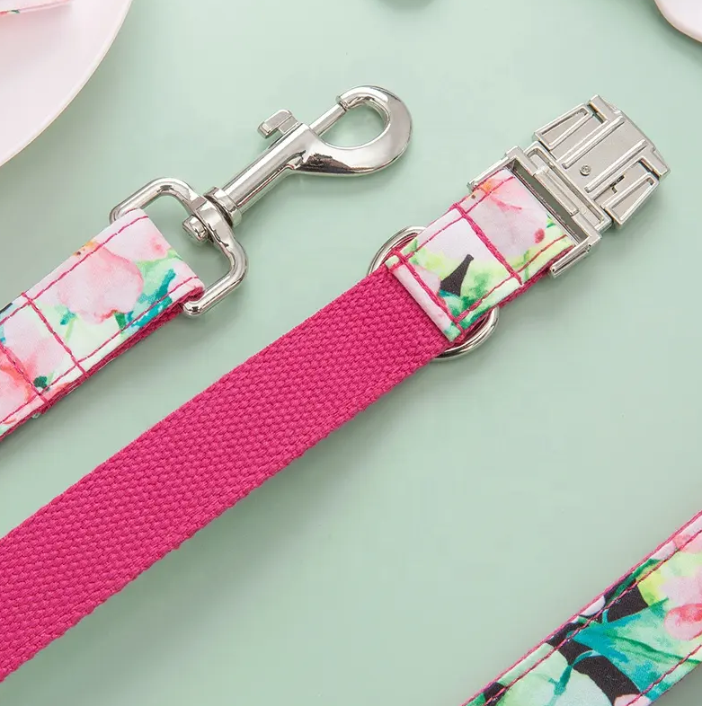 Pattern Print Personalized Dog Collar & Accessories - PRE-ORDER