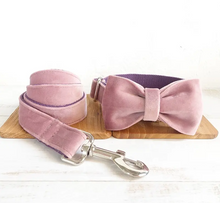 Load image into Gallery viewer, Velvet Personalized Dog Collars- PRE-ORDER
