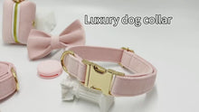 Load and play video in Gallery viewer, Velvet Personalized Dog Collars- PRE-ORDER
