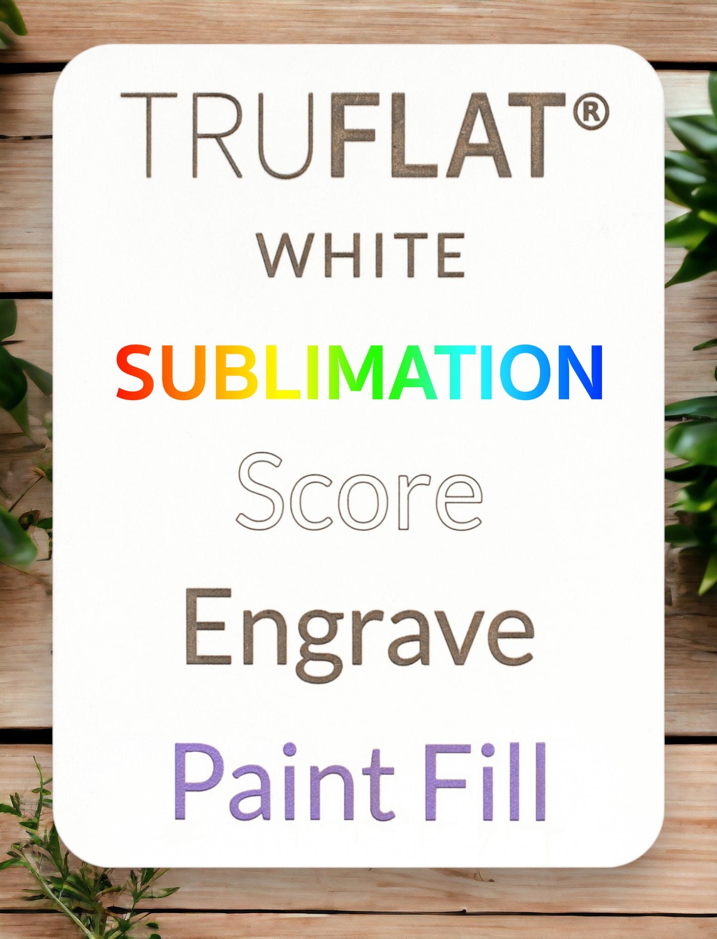 TruFlat® Paint Plywood Sheet 1260